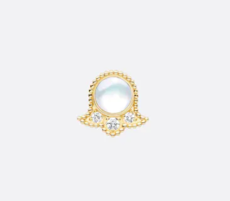 Dior ROSE DES VENTS earrings