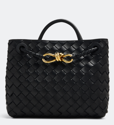 BOTTEGA VENETA Small Andiamo bag